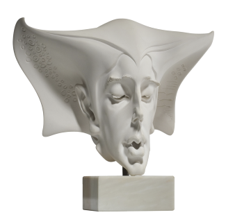 A Young Man’s Portrait