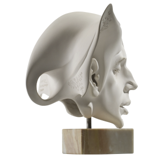 A Young Man’s Portrait